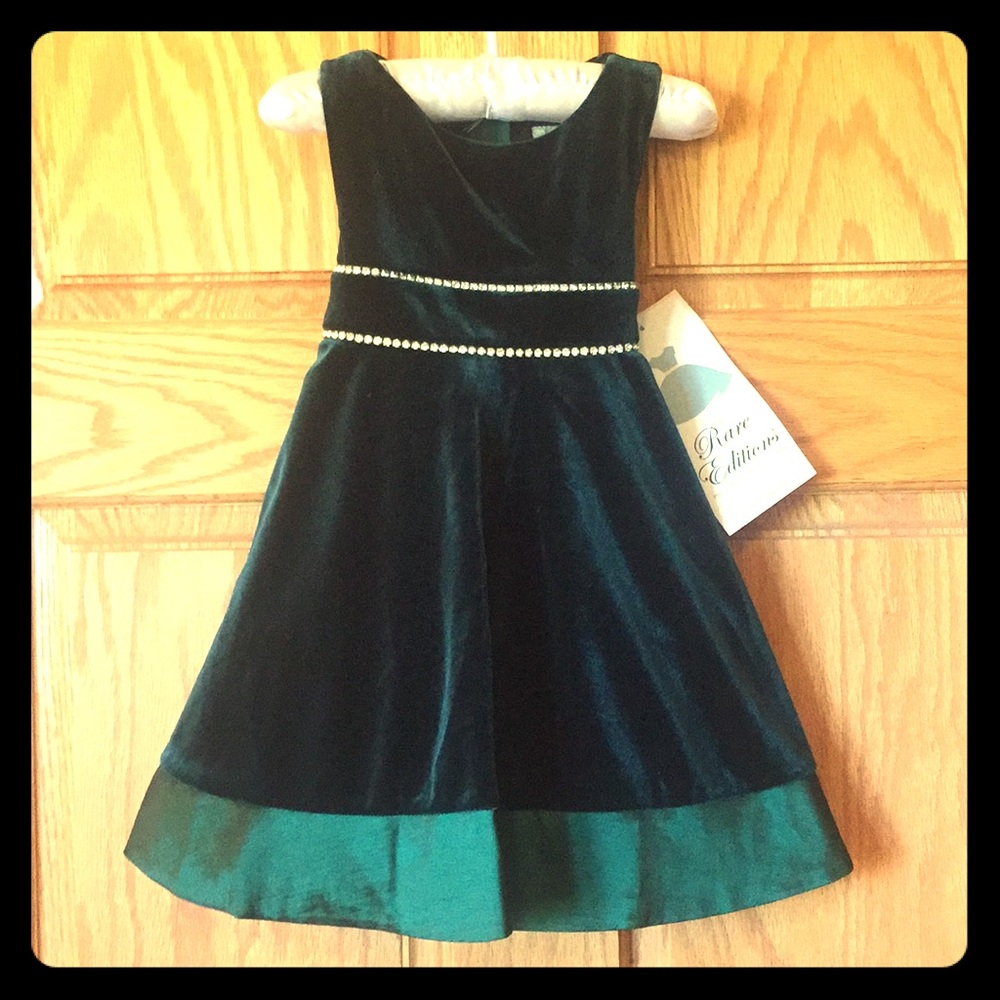 NWT Rare Editions girls holiday dress.  Size 2T